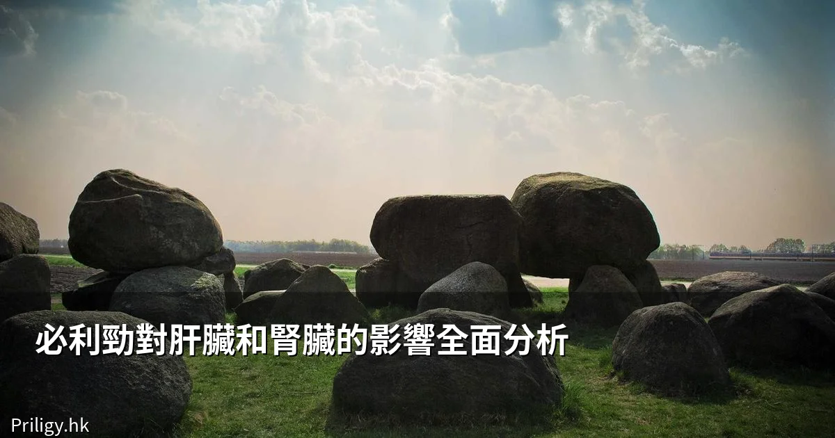 必利勁對肝臟和腎臟的影響